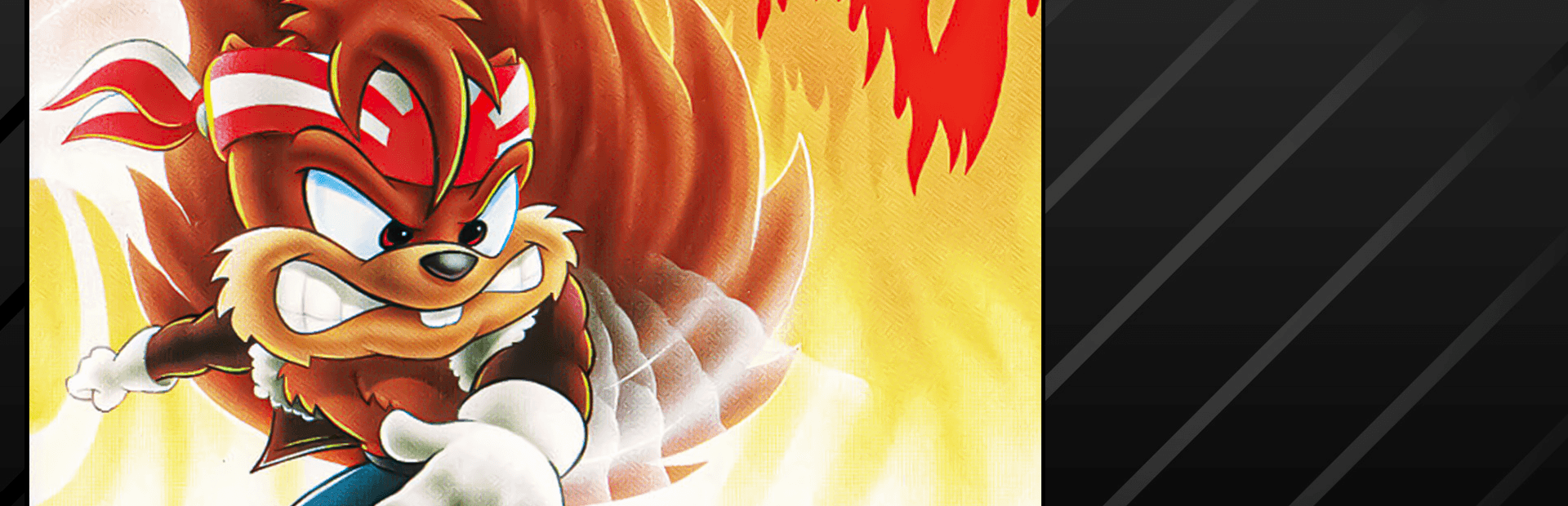 Zero the Kamikaze Squirrel hero