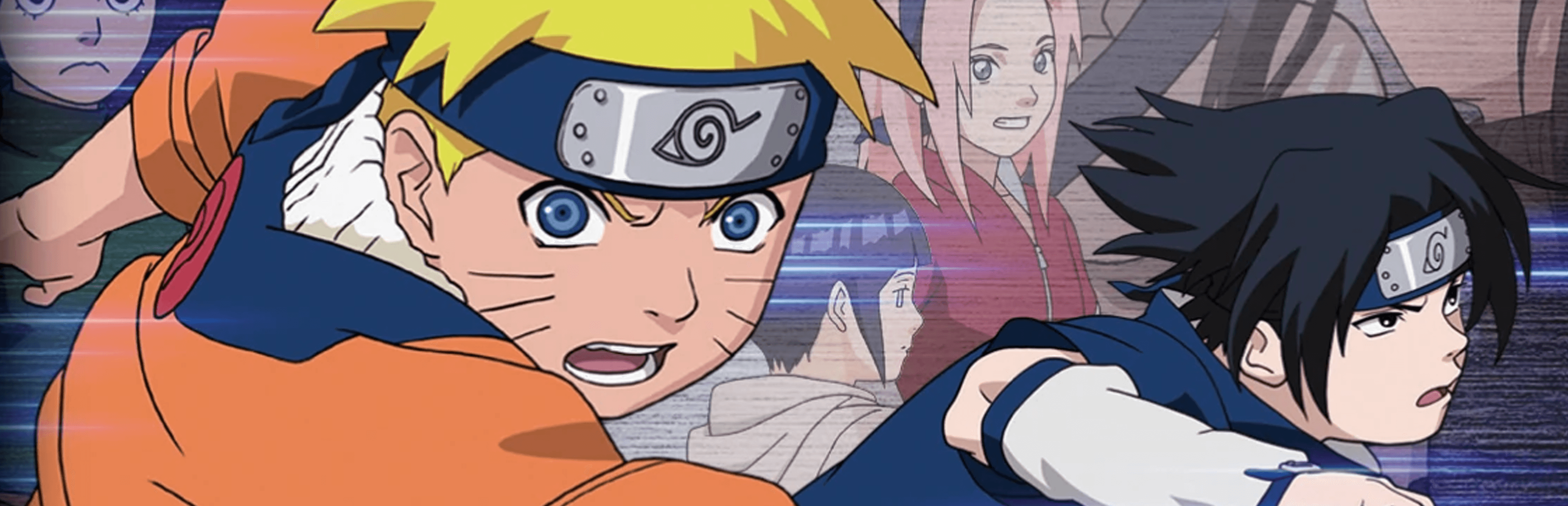 Naruto: Ninja Council hero